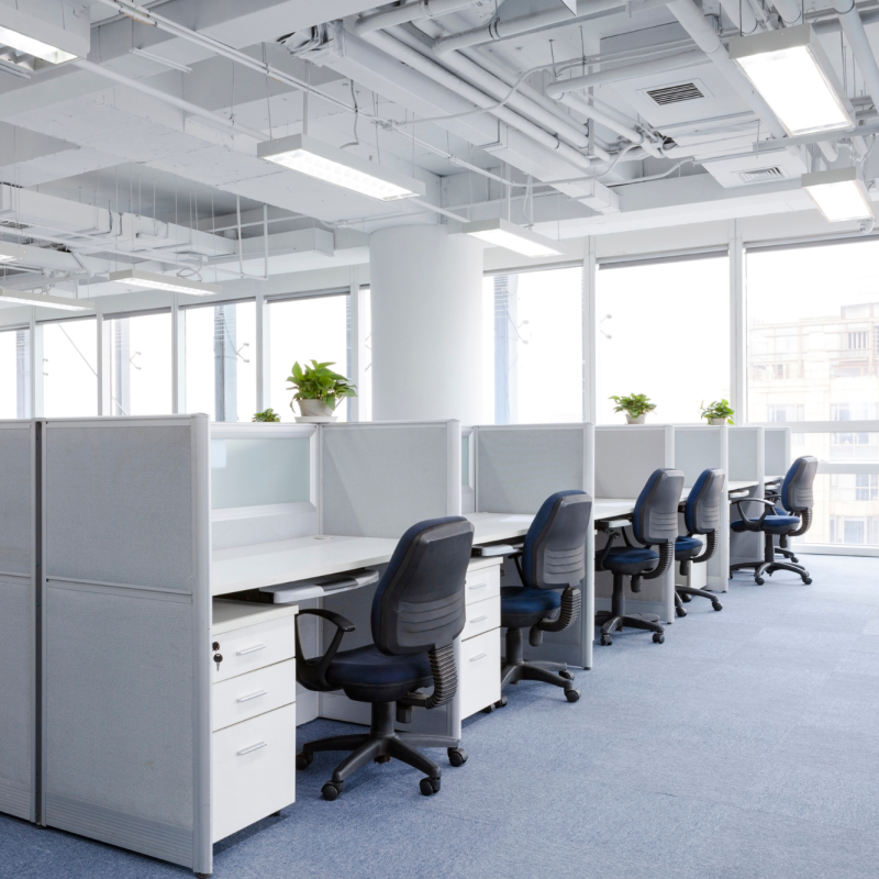 Untitled design (62)